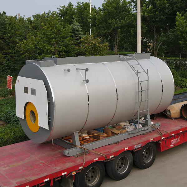 滿足環(huán)保要求的燃?xì)忮仩t廠家有哪些？