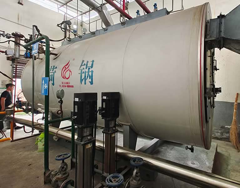 成都康樂匯食品1臺(tái)六噸WNS蒸汽鍋爐